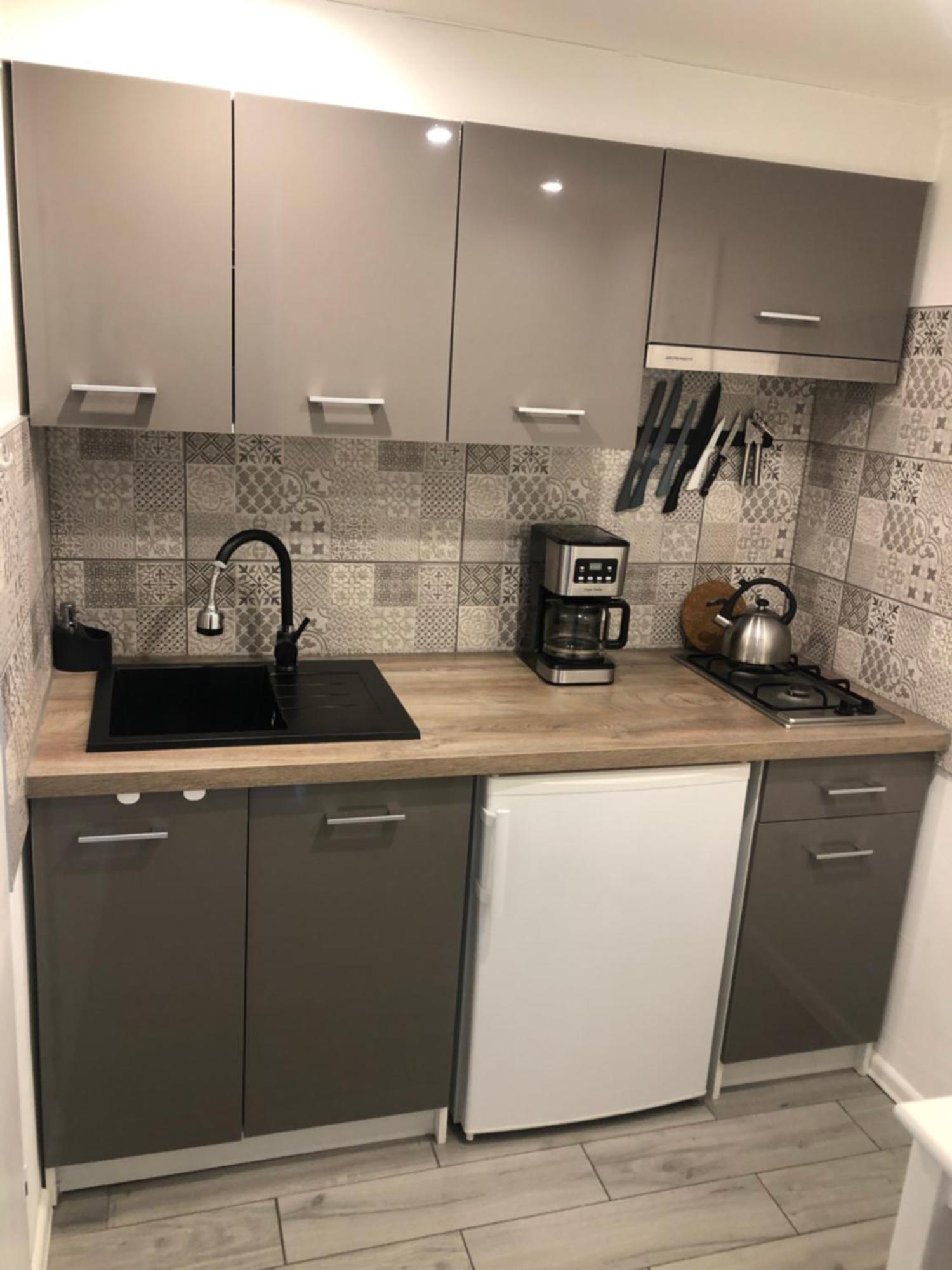 Villa Pod Orzechem W Zaniemyslu מראה חיצוני תמונה